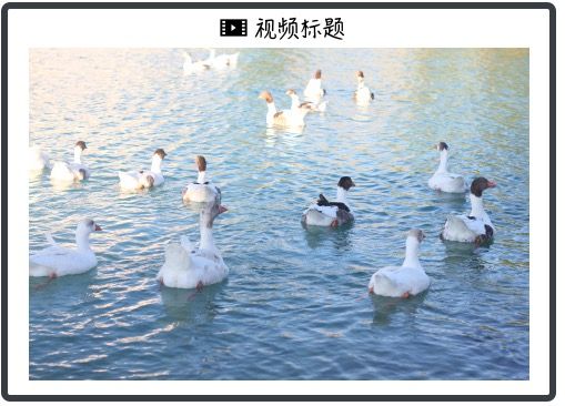 关注特朗普访华 参加中美元首会谈的美方代表有哪些？